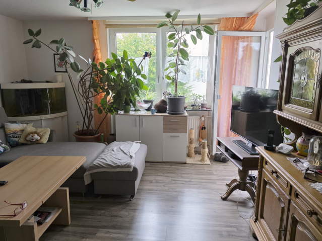 Bild: Kaiserslautern - Ruhig gelegene Etagenwohnung in Kaiserslautern
