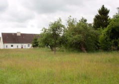 Bild: Neetzow - Freistehendes Ferien- und Wohnhaus in ruhiger Lage