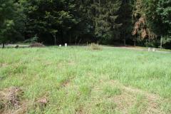 Bild: Marlow - Baugrundstück, ca. 994 m² GFl., voll erschlossen, ruhiger Orts-und Waldrandlage