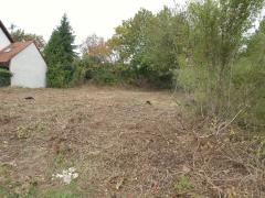 Bild: Neuleiningen - Voll erschlossenes Grundstück in ruhigem Wohngebiet in Neuleiningen