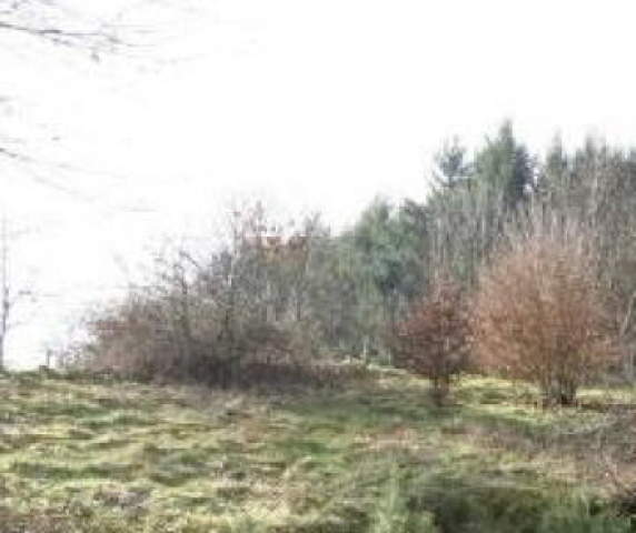 Bild: Heiligkreuzsteinach - Ruhiges Baugrundstück in Heiligkreuzsteinach mit toller Aussicht