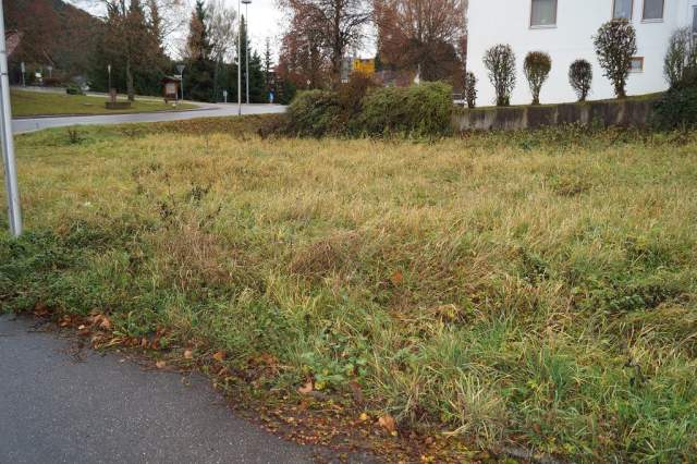 Bild: Sulz am Neckar - Großes Baugrundstück mit großem Gewölbekeller ! Zentralle Lage!