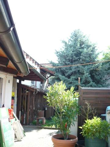 Bild: Biblis - Schönes freistehendes Mehrfamilienhaus mit Gewerberäumen