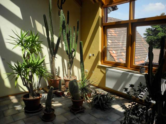 Bild: Niederkirchen bei Deidesheim - Ein-Zweifamilienhaus in Niederkirchen