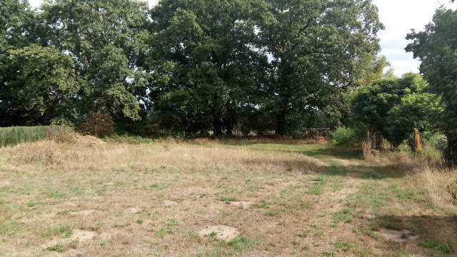 Bild: Tessin bei Boizenburg - Traumgrundstück in ländlicher Umgebung 1860 m²
