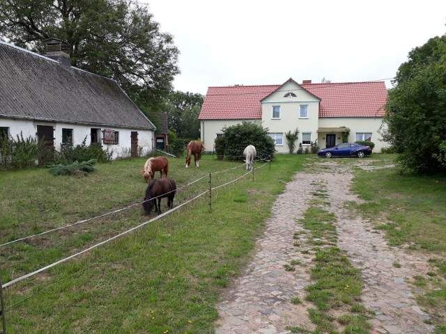 Bild: Daberkow - Ehemalige Hofstelle mit Möglichkeiten für Tierhaltung