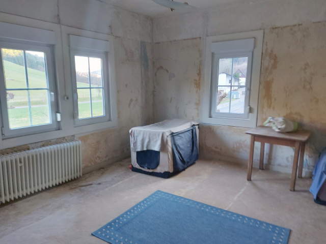 Bild: Oberzent - Teilsaniertes Einfamilienhaus mit großem Grundstück, Leben in der Natur