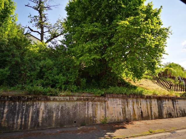 Bild: Waldfischbach-Burgalben - Erschlossenes Baugrundstück im Herzen von Waldfischbach.-Burgalben