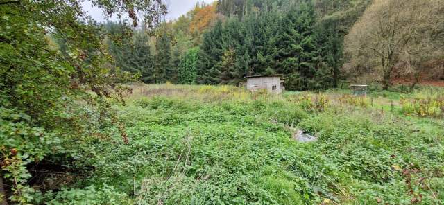 Bild: Petersbergertal - Riesengrundstück zur freien Bewirtschaftung