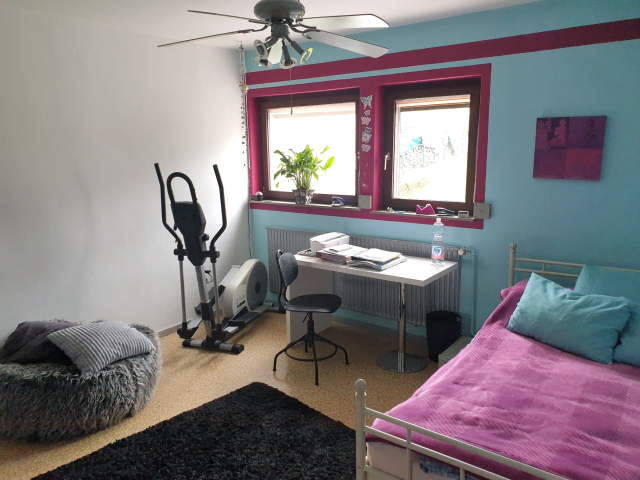 Bild: Michelstadt - Topp Wohngegend - gepflegtes 2-Fam. Haus mit Garage und Garten in Michelstadt-STEINBACH