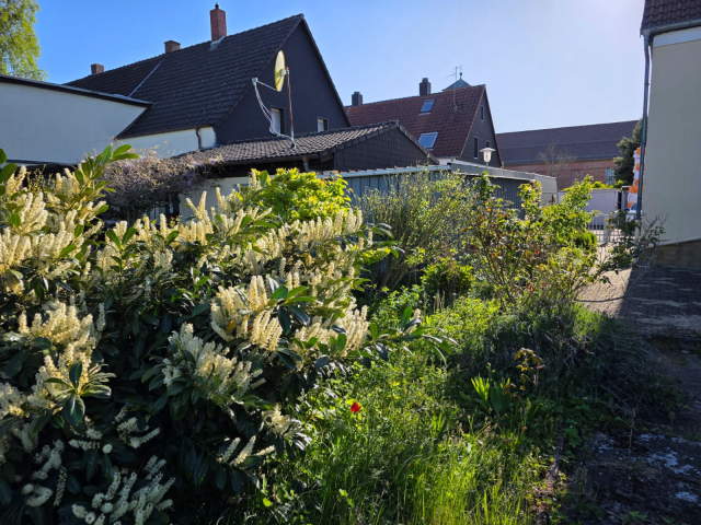 Bild: Kaiserslautern - Solide Doppelhaushälfte mit großem Garten; Hof mit Einfahrt und kleinem Nebengebäude
