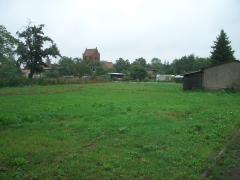 Bild: Garten