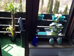 Bild: Wilhelmsfeld - Ruhig gelegene 2 Zimmer Maisonette-Eigentumswohnung mit Balkon in Wilhelmsfeld