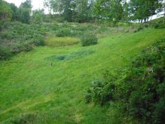 Bild: Lauterbach - Einzigartiges Baugrundstück! In idyllischer Südhanglage von Lauterbach! 6000m²