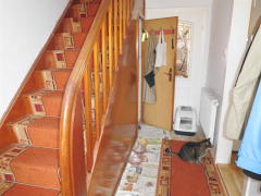 Bild: 