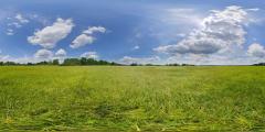 Bild: Weener - Schönes Baugrundstück in Stapelmoor