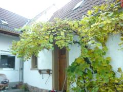 Bild: Schwegenheim - Zentral gelegenes Stadthaus bietet viele Möglichkeiten für eigene Ideen !