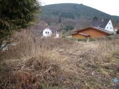 Bild: Heddesbach - Schönes, ruhiges Baugrundstück in Heddesbach