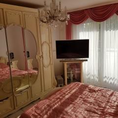 Bild: Ludwigshafen am Rhein - Top-gepflegte 2-Zimmer ETW mit großem Balkon Ludwigshafen in LU-Mundenheim mit guter Fernsicht