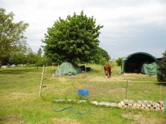 Bild: Bartow - Reihenendhaus in ruhiger Randlage