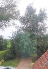 Bild: Norden - freistehendes Einfamilienhaus in Norden / Südneuland
