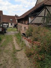 Bild: 