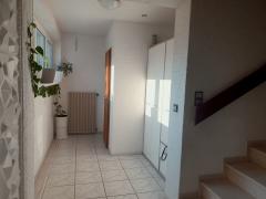 Bild: 