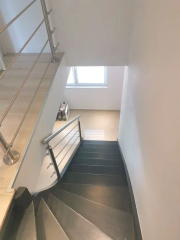 Bild: 