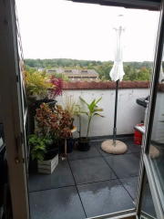 Bild: 