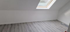 Bild: 