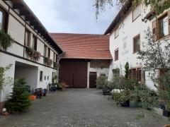 Bild: Alsheim - Ehem. Weingut mit Wohnhaus, Scheune und Fremdenzimmer zentral in Alsheim/Rheinhessen