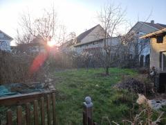Bild: 
