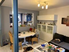Bild: 