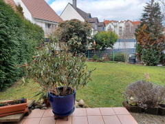 Bild: 