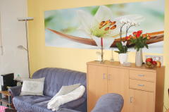 Bild: 