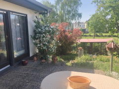 Bild: 