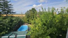 Bild: 