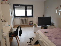 Bild: 