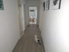 Bild: 