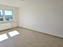 Bild: 