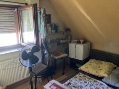 Bild: 