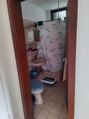 Bild: 