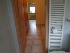 Bild: 