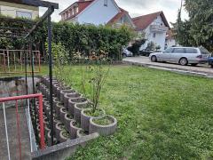 Bild: 