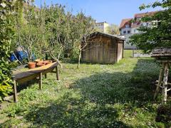 Bild: 