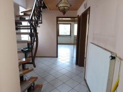 Bild: 