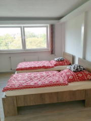 Bild: 