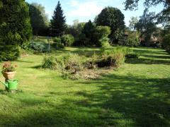 Bild: 