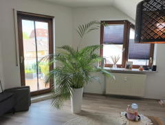 Bild: 