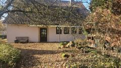 Bild: Bad Dürkheim - Freistehendes, repräsentatives EFH mit Garten und großem Grundstück ausserhalb  in DÜW-Grethen